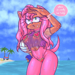 2_tails antenna_hair anthro beach_towel bikini black_nose blue_body blue_sky blush boat breasts claws clothing cloud cooler countershade_arms countershade_face countershade_torso countershading dialogue electronics female finger_claws glistening glistening_nose hair hammock head_tuft long_hair multi_tail navel palm_tree pink_body plant pointed_tail pointy_ears pool_float prick_ears radio sailing_boat sailing_watercraft sea shirt sky small_bikini solo_focus speech_bubble sport swimwear tail topwear towel translucent translucent_clothing tree tuft two-piece_swimsuit vehicle volleyball water watercraft wet kittiesnkream sega sonic_the_hedgehog_(series) amy_rose miles_prower sonic_the_hedgehog canid canine eulipotyphlan fox hedgehog mammal 1:1
