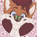 anthro cherry_blossom flower happy male plant prunus_(flower) solo spring star_on_eye naoto arthropod butterfly canid canine fox insect lepidopteran mammal absurd_res hi_res