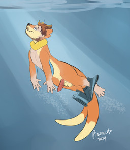 anthro assisted_exposure balls biped bottomwear bottomwear_down brown_hair bubble clothed clothing discarded_clothing discarded_swimming_trunks discarded_swimwear elbow_fin erection facial_hair flotation_sac forked_tail fur fur_growth genitals growth hair human_to_feral male membrane_(anatomy) mid_transformation mostly_nude orange_body orange_fur oversized_clothing pants pants_down partially_clothed penis shrinking size_transformation snout snout_growth solo species_transformation swimming swimming_trunks swimwear tail tan_body tan_fur transformation underwater unusual_anatomy unusual_tail water webbed_hands pixiemiata nintendo pokemon rygone buizel generation_4_pokemon mammal mustelid pokemon_(species) 2024 dated digital_drawing_(artwork) digital_media_(artwork) hi_res shaded signature simple_shading story story_in_description