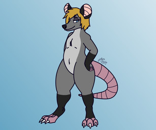 ambiguous_gender anthro belly chest_tuft digitigrade featureless_crotch grey_belly grey_body hair hand_on_hip orange_hair pink_fingers pink_tail pink_toes segmented_tail solo standing tail tuft ashsniffer american_opossum mammal marsupial virginia_opossum 6:5 absurd_res hi_res