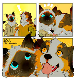 ambiguous_gender anthro big_pupils black_body black_fur blep blue_eyes bodily_fluids brown_body brown_fur camouflaged cat_smile clothing dilated_pupils dripping emanata exclamation_point eyebrows_(marking) eyes_closed fangs floppy_ears fur gesture group hand_gesture hoodie long_tail multicolored_body multicolored_fur neck_tuft open_mouth orange_body orange_eyes orange_fur pointing pointing_up pointy_ears pupils saliva saliva_drip shirt simple_background snout sweat sweatdrop t-shirt tail teeth tongue tongue_out topwear trio tuft two_tone_body two_tone_fur whiskers white_body white_fur sd_planb meccha_chameleon unnamed_character canid canine felid feline mammal siamese_cat digital_drawing_(artwork) digital_media_(artwork)