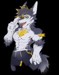 abs anthro body_hair chest_hair clothing fur male muscular muscular_male nipples solo tail underwear bunic vortiganshine canid canine canis mammal wolf absurd_res alpha_channel hi_res