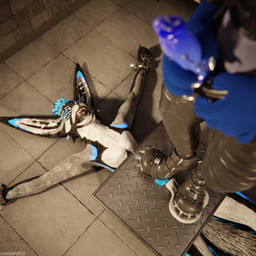 animal_genitalia animal_penis anthro anthro_on_anthro arms_tied ball_crush ball_gag ball_squeeze balls bdsm biped black_body black_boots black_clothing black_footwear black_fur black_shoes blue_body blue_fur blue_penis bodily_fluids bondage boot_on_balls boot_on_penis boots bottomwear bound canine_genitalia canine_penis claws clothed clothing cock_and_ball_torture crush cum cum_dripping_from_penis cum_on_penis depth_of_field dominant duo erection feet flat_balls foot_crush foot_fetish foot_on_balls foot_on_penis foot_play footwear fur gag gagged genital_fluids genital_torture genitals grey_body grey_fur hair hindpaw inside jacket knot leather leather_boots leather_clothing leather_footwear leather_jacket leather_topwear legs_tied legwear male male/male multicolored_body nude on_ground open_mouth orgasm pain pants paws penis penis_squeeze reflection restraints sex shoes shoes_on slim slim_anthro slim_male slim_sub smile standing standing_on_balls submissive submissive_male tail topwear torture trampling white_body white_fur dragonplayer blender_cycles blinthefox dragonplayer_(character) canid canine canis fox jex jexouium mammal rexouium 1:1 3d_(artwork) absurd_res blender_(artwork) digital_media_(artwork) hi_res