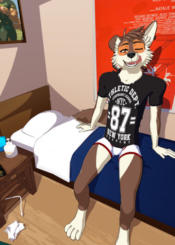 anthro bed bedroom clothing college furniture licking licking_lips licking_own_lips looking_at_viewer lube male movie_poster on_bed phone_charger pillow poster poster_(object) school shirt sitting solo t-shirt text thirst_trap tongue tongue_out topwear underwear ariesartist west_side_story border_collie canid canine canis collie domestic_dog herding_dog mammal pastoral_dog sheepdog absurd_res english_description english_text hi_res