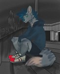 anthro blue_hair boots bottomwear clothing footwear fur hair hoodie male multicolored_body multicolored_fur shoes shorts solo topwear danny_arctic_(artist) danny_arctic arctic_fox canid canine fox mammal true_fox hi_res