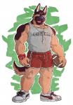 american_football anthro athletic_wear ball biped blue_nose bottomwear clock clothing coach footwear green_eyes gridiron_ball gym_bottomwear gym_shorts holding_ball holding_object male shirt shoes shorts solo sport text text_on_clothing text_on_shirt text_on_topwear topwear watch whistle_(object) omfgitsmiller puma_(company) kumu_(omfgitsmiller) canid canine canis domestic_dog german_shepherd herding_dog mammal pastoral_dog english_text