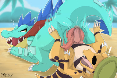 anal anal_penetration anatomically_correct anatomically_correct_genitalia anatomically_correct_penis animal_genitalia animal_penis blue_body bodily_fluids butt cloaca cloacal cloacal_penetration clothing crocodilian_penis duo erection feral genital_fluids genitals larger_penetrated male male/male male_penetrated male_penetrating male_penetrating_male motion_lines orange_body penetration penis power_bottom sex sitting_on_penis size_difference tail derekdragon nintendo pokemon crocodile crocodilian feraligatr generation_2_pokemon generation_5_pokemon krokorok pokemon_(species) reptile scalie 3:2 hi_res