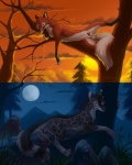 animal_genitalia anthro balls blue_eyes branch cloud contrast day detailed_background duality female feral forest genitals in_tree looking_at_viewer male moon nature night nude on_branch outside penis penis_tip plant pose pussy rock scenery sheath sky solo split_screen spread_legs spreading star starry_sky sunset tail tree wood hyhlion tanidareal_(character) canid canine canis felid fox hybrid mammal pantherine snow_leopard wolf 4:5 digital_media_(artwork) hi_res multiple_images pinup