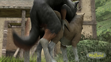 all_fours anatomically_correct balls bouncing_balls detailed_background doggystyle duo female female_penetrated feral feral_on_feral feral_penetrated feral_penetrating feral_penetrating_feral forest from_behind_position fur genitals male male/female male_penetrating male_penetrating_female mounting penetration penile penile_penetration penis_in_vagina plant realistic_feral sex tree vaginal vaginal_penetration wolfland canid canine canis domestic_dog mammal 16:9 2019 3d_(artwork) 3d_animation animated digital_media_(artwork) hi_res no_sound short_playtime source_filmmaker_(artwork) webm widescreen