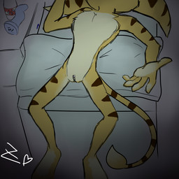 andromorph anthro bedroom fur furniture genitals gesture hidden_face intersex lying male markings nightstand nude on_back orange_body orange_fur pillow sex_toy_background solo striped_body striped_fur striped_markings stripes tail tail_tuft tuft vulva zed975 ratchet_and_clank sony_corporation sony_interactive_entertainment ratchet_(ratchet_and_clank) lombax mammal 1:1 partially_colored