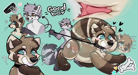 anthro anthro_to_feral blush collar duo eyewear genitals glasses inflatable inflatable_transformation knot leash leash_pull leashed_collar male penetration penis pool_toy pooltoy_transformation text transformation sonnendemon jono okietheraccoon animate_inanimate living_inflatable mammal procyonid raccoon absurd_res hi_res