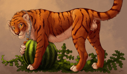 anatomically_correct animal_genitalia animal_penis anus balls black_body black_fur chain erection feline_genitalia feline_penis feral food fruit fur genitals jewelry lipsticking male melon necklace on_food orange_body orange_fur penis plant raised_tail retractable_claws side_view simple_background solo stripes tail tail_anus watermelon whiskers white_body white_fur yellow_eyes yellow_sclera anchee felid mammal pantherine tiger