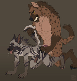 all_fours anal anal_penetration anatomically_correct anatomically_correct_genitalia anatomically_correct_penis animal_genitalia animal_penis anthro anthro_on_anthro balls bodily_fluids brown_body brown_fur claws clenched_teeth cum cum_inside dripping duo fur genital_fluids genitals grey_body grey_fur half-erect larger_male leaking_precum male male/male markings muscular muscular_anthro muscular_male nude pecs penetration penile penis precum precum_drip sex simple_background size_difference smaller_penetrated striped_body striped_fur stripes tail tail_grab teeth tongue tongue_out zalasly bix_(qibble) hyena mammal spotted_hyena striped_hyena hi_res