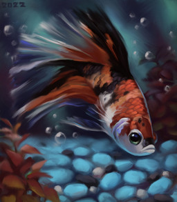 black_body black_pebbles black_scales blue_pebbles bubble feral flowing_tail multicolored_body multicolored_scales orange_body orange_scales pebble plant realistic scales solo spots teal_eyes underwater water white_body white_pebbles white_scales alexpahomov aquatic betta_(genus) fish gourami siamese_fighting_fish 2022 digital_media_(artwork) digital_painting_(artwork) hi_res painting_(artwork)
