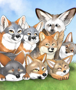 ambiguous_gender eyes_closed feral grass group looking_at_viewer lying plant sky whiskers yellow_eyes miyuwo bat-eared_fox canid canine darwin's_fox fox grey_fox island_fox mammal south_american_fox unknown_species urocyon hi_res