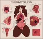 anal anal_penetration anatomical_diagram anatomical_study anatomy anatomy_chart anthro bladder breasts buttplug cervix chart educational educational_porn esophagus fallopian_tubes female guts heart_symbol intestines liver lung mouth_shot nipples open_mouth organs ovaries penetration plug_(sex_toy) sex_toy solo stomach teeth text throat tongue uterus uvula xray_view wonderslug mythology pepper_(wonderslug) canid canine mammal mythological_canine mythological_creature were werecanid werecanine werewolf english_text hi_res model_sheet