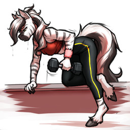 anthro barbell bodily_fluids bottomwear breasts clothing exercise eyebrows eyelashes female fur hair hooves pants solo striped_body striped_fur stripes sweat topwear unguligrade weightlifting workout wristband mykegreywolf equid equine mammal zebra 1:1 2022 absurd_res hi_res