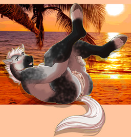 andromorph anthro anus beach blush butt fur genitals grey_body grey_fur hair hooves inner_labia intersex legs_up long_inner_labia lying mottled mottled_body mottled_fur nude on_back presenting presenting_hindquarters sea solo sunset vulva water white_hair slushee. equid equine horse mammal hi_res