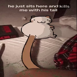 :3 ambiguous_gender attempted_murder bed blood bodily_fluids book duo feral fur furniture long_tail lying multicolored_body multicolored_fur on_side quadruped simple_face tail tail_motion text cuptoast crumb_(cuptoast) calico_cat domestic_cat felid feline felis human mammal 1:1 2025 2d_animation animated digital_media_(artwork) english_description english_text frame_by_frame low_res meme no_sound rotoscoping short_playtime nonbinary_(lore)