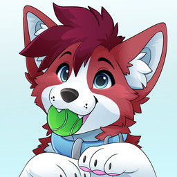 ambiguous_form ball ball_in_mouth black_eyebrows black_nose blue_collar blue_eyes cheek_tuft collar eyebrows facial_tuft fangs fur hair happy inner_ear_fluff looking_up male open_mouth pawpads pink_pawpads raised_eyebrows red_body red_fur red_hair short_hair simple_background smile solo teeth tennis_ball tuft whisker_spots white_body white_fur feve canid canine canis domestic_dog mammal 1:1 colored digital_drawing_(artwork) digital_media_(artwork) shaded