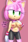 anthro bottomwear breasts clothed clothing clothing_lift female flashing glistening glistening_bottomwear glistening_clothing nipples shirt shirt_lift solo spats standing text tight_bottomwear tight_clothing topwear aerosin sega sonic_the_hedgehog_(series) amy_rose eulipotyphlan hedgehog mammal 2024 english_text hi_res