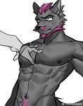 abs anthro baidou beard canid canine canis chai_tailang disembodied_hand duo facial_hair fur grey_body grey_fur hair male mammal muscular muscular_anthro muscular_male nude pecs pleasant_goat_and_big_big_wolf purple_beard purple_facial_hair purple_hair simple_background solo_focus white_background wolf