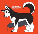 all_fours balls big_balls big_penis black_body black_fur black_hair bodily_fluids claws cum cum_drip dialogue dripping fangs feral fur genital_fluids genitals hair huge_balls huge_penis hyper hyper_balls hyper_genitalia hyper_penis knot male penis precum raised_tail red_eyes simple_background solo tail teeth toothy_grin white_body white_fur white_hair youtuber dergsalot zaidra canid canine canis domestic_dog husky mammal nordic_sled_dog spitz hi_res