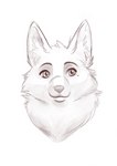 absurd_res anthro canid canine canis draft_(disambiguation) female fluffy hi_res lovelessvix mammal sketch solo wolf