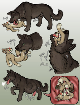 abdominal_bulge animal_genitalia animal_penis anthro anthro_on_feral balls belly_lick bestiality blush canine_genitalia canine_penis duo erection feet_first feral genitals inside_stomach internal larger_feral licking licking_body licking_stomach male male/male masturbating_prey masturbation masturbation_inside_body masturbation_inside_stomach neck_bulge oral_vore organs penile penile_masturbation penis rumbling_stomach sheath size_difference stomach swallowing tongue vore willing_prey hgythshs mythology canid canine canis coyote mammal mythological_canine mythological_creature werecanid werecanine werecreature werewolf wolf absurd_res hi_res