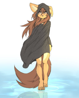 4_toes anthro barefoot black_claws black_nose brown_body brown_eyes brown_fur brown_hair claws clothing eye_patch_(marking) eyebrow_through_hair eyebrows facial_markings feet female female_anthro floppy_ears fur hair hair_over_eye head_markings headgear headwear inner_ear_fluff leg_tuft long_hair looking_at_viewer markings mottled mottled_nose one_eye_obstructed patch_(marking) pink_nose plantigrade reflection simple_background solo toes translucent translucent_hair tuft walking_on_water water white_background wind tinygaypirate apogee_(tinygaypirate) canid canine canis domestic_dog mammal spitz hi_res