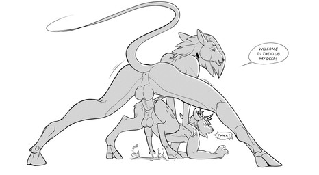 anal anal_orgasm anal_penetration anthro antlers anus athletic athletic_anthro athletic_herm athletic_intersex athletic_male bodily_fluids breeding_kink butt choker clenching_balls cum cum_on_ground cum_while_penetrated cumshot deep_penetration dialogue doggystyle duo ejaculation explosive_orgasm flared_penis from_behind_position genital_fluids genitals hands-free hands_on_back herm hooves horn imminent_orgasm intersex jewelry knotted_cervine_penis larger_herm larger_intersex looking_pleasured male male/male moan muscular muscular_legs muscular_thighs necklace nude orgasm orgasm_face pain painful_penetration penetration penile penile_penetration penis penis_in_ass pushing_down retracted_balls romantic romantic_couple rough_sex seductive sex shacking sidecut size_difference smaller_male smooth_penis spread_legs spreading stamina stretched_anus text thanks welcome hydrazyne_(artist) lost_paw_(lost-paw) deer equid equine horse mammal english_text hi_res