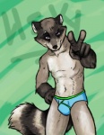 5_fingers anthro biped blue_briefs blue_clothing blue_underwear briefs briefs_only brown_eyes bulge clothed clothing colored_seam_underwear fingers fluffy fluffy_tail front_view fur gesture gloves_(marking) green_seam_briefs green_seam_underwear grey_body grey_fur hand_gesture hand_on_hip looking_at_viewer male markings nipples pose purple_eyes ring_(marking) ringed_tail skimpy slim smile solo standing striped_markings striped_tail stripes tail tail_markings topless underwear underwear_only v_sign whiskers y-fronts leomagna mammal procyonid raccoon digital_media_(artwork) portrait three-quarter_portrait