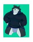 anthro blue_body blue_clothing blue_fur blue_jockstrap blue_underwear border bulge clothed clothing fur grey_body hoodie jockstrap looking_at_viewer male overweight overweight_male simple_background solo topwear underwear white_border crentonigen colby_(husky) canid canine canis domestic_dog husky mammal nordic_sled_dog spitz absurd_res hi_res