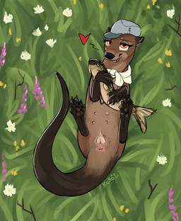 animal_genitalia animal_vulva anus aroused bedroom_eyes clothing female feral flower genitals grass hat headgear headwear heart_symbol looking_at_viewer lying narrowed_eyes on_back paws plant presenting presenting_anus presenting_vulva propositioning scarf seductive solo tongue tongue_out vulva queenkoko tillie_(queenkoko) aquatic fish mammal mustelid otter river_otter absurd_res hi_res