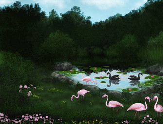 blue_sky cloud feral flock flower garden group lily_pad on_water plant pond sky standing mihin89 anatid anseriform anserine avian bird flamingo swan 2014