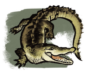 3_toes ambiguous_feral ambiguous_gender bent_legs black_markings claws feet feral green_body green_claws green_eyes green_scales green_tail long_tail looking_at_viewer markings membrane_(anatomy) multicolored_body multicolored_scales open_mouth open_smile quadruped scale_markings scales sharp_teeth simple_background smile smiling_at_viewer solo tail teeth toe_claws toes webbed_feet white_background altermentality crocodile crocodilian reptile scalie 2023 colored digital_drawing_(artwork) digital_media_(artwork) english_description full-length_portrait portrait shaded