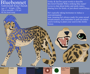 andromorph animal_genitalia animal_vulva anus bared_teeth black_nose black_spots black_stripes blue_hair claws fangs feline_genitalia feline_vulva feral genitals green_eyes hair intersex multi_nipple nipples open_mouth raised_tail solo spots stripes tail tail_anus teeth vulva yellow_body backlash91 conditional_dnp bluebonnet cheetah felid feline king_cheetah mammal absurd_res hi_res model_sheet