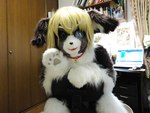 anthro bodysuit clothing collar computer costume electronics fursuit gesture inside laptop male mask paws real skinsuit smile solo tight_clothing waving tetetor-oort marie_(tetetor-oort) canid canine canis domestic_dog mammal 4:3 grandfathered_content