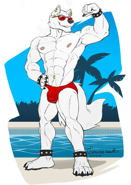 4_toes 5_fingers abs ankle_band anthro armpit_tuft barefoot biceps biped black_claws broad_shoulders bulge calf_muscles cheek_tuft claws clothed clothing day detailed_bulge ear_piercing ear_ring eyewear facial_tuft feet finger_claws fingers fist flexing flexing_bicep fluffy fluffy_tail forearm_muscles fur gold_(metal) gold_ear_piercing gold_ear_ring gold_navel_piercing grey_nose grey_pawpads hand_on_hip looking_at_viewer male multiple_ear_piercings multiple_ear_ring muscular muscular_anthro muscular_male narrowed_eyes navel navel_piercing navel_ring neck_tuft nipples outside palm_tree pawpads paws pecs piercing pink_nipples plant plantigrade poolside pose presenting quads ring_piercing roman_numeral serratus sky smile snout solo speedo speedo_only standing studded_ankleband studded_wristband studs sunglasses swimming_pool swimwear tail text thick_limbs tight_clothing toe_claws toes toothy_smile topless tree tuft veiny_arms white_body white_fur wristband grimsvault canid canine canis mammal wolf 2025 artist_name cel_shading shaded signature