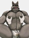 anthro ball_gag barazoku bdsm big_muscles biped black_nipples blindfold bodily_fluids bottomwear breathable_gag bulge clothed clothing collar detailed_bulge drooling fur gag grey_body grey_fur leash leashed_collar loincloth loincloth_only male muscular muscular_anthro muscular_male muscular_sub nipples pec_grab pecs saliva solo submissive submissive_anthro submissive_male topless p7ywirzyw8lesuc yuqiqiya54831 canid canine canis mammal wolf 2024 hi_res