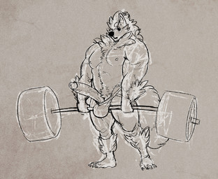 anthro anthrofied exercise genitals male muscular muscular_anthro muscular_male penis pokemorph solo weightlifting weights workout suck_mcjones nintendo pokemon arcanine canid canine generation_1_pokemon mammal pokemon_(species)