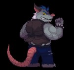 5_fingers angry anthro barazoku bottomwear clothing fingers grey_body humanoid_hands kemono male pants pink_nose shirt solo topwear nanadragon4 brok_the_investigator cowcat_games squealers_chief mammal murid murine rat rodent 2024 alpha_channel digital_media_(artwork) pixel_(artwork)