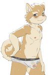 anthro black_eyes butt clothed clothing genitals half-closed_eyes hand_on_hip looking_at_viewer male narrowed_eyes navel nipples penis simple_background solo underwear underwear_only wet wet_clothing wet_underwear white_background young young_anthro young_male roo310 canid canine canis domestic_dog mammal shiba_inu spitz 2023 absurd_res hi_res