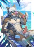 anthro balls blue_sky cloud erection eyewear fangs food fur genitals glans glasses green_eyes grey_body grey_fur hair holding_food holding_object holding_popsicle humanoid_genitalia humanoid_penis inner_ear_fluff looking_at_viewer male navel nipples nude outside penis pink_penis popsicle short_hair sitting sky smile solo teeth tinted_glasses tuft water white_balls white_body white_fur white_hair white_inner_ear_fluff papayafurry canid mammal 2024 dated hi_res signature