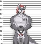 animal_genitalia animal_penis anthro barcode barcode_tattoo biped black_collar canine_genitalia canine_penis collar cuff_(restraint) genitals handcuffed handcuffs male metal_cuffs muscular muscular_anthro muscular_male nude_anthro nude_male penis restraints sheath slave solo tattoo luorein_klaus canid canine canis mammal wolf