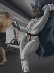 abs anthro athletic athletic_anthro athletic_male biceps blue_body blue_fur bodily_fluids bottomwear breasts butt clothed clothing exercise female fingers fur gym hair male muscular muscular_anthro pants pecs sport tail topwear workout archerteamr nintendo pokemon canid canine generation_4_pokemon lucario mammal pokemon_(species) absurd_res digital_media_(artwork) hi_res