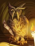 4_toes brown_body brown_feathers candle elderly_male feathers feet feral holding_object_with_feet male prehensile_feet solo talons toes white_body white_feathers writing_text yellow_eyes zygodactyl ignigeno guardians_of_ga'hoole ezylryb avian bird owl screech_owl true_owl whiskered_screech_owl 2018 3:4 hi_res