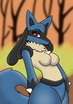 anthro blue_body blue_fur breasts female fur nipples pink_nipples red_eyes solo donfurro nintendo pokemon canid canine generation_4_pokemon lucario mammal pokemon_(species) hi_res