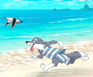 4_fingers 4_toes anthro beach blue_eyes chasing clothing fangs feet feral fingers fur grey_body grey_fur hindpaw humanoid_hands male multicolored_body multicolored_fur open_mouth open_smile paws running sand sea smile solo swimwear tail teeth toes tongue tongue_out two_tone_body two_tone_fur water white_body white_fur spiritofash andreas_(spiritofash) avian bird canid canine canis gull lari larid mammal wolf