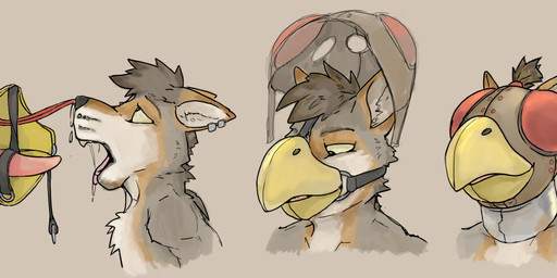 anthro blindfold collar dildo dildo_insertion falconry_hood gag hood male muzzle_(object) nasal_tube sex_toy sex_toy_insertion solo snickersthecat canid canine mammal hi_res
